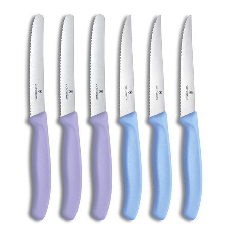 Victorinox Swiss Classic