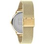 Montre Homme Tommy Hilfiger 1791877 (Ø 43 mm)