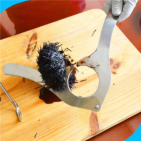 Coupe-oursin Petit Outil Outil d'ouverture d'oursin Ouvre-ustensile Outil d'oursin Outil Couteaux à Fruits de Mer