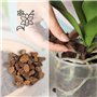 Kalapanta Terreau Professionnel pour Orchidées - Bark Organique Naturel avec Écorce de Pin Maritime et Tourbe Blonde, Idéal pour
