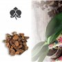 Kalapanta Terreau Professionnel pour Orchidées - Bark Organique Naturel avec Écorce de Pin Maritime et Tourbe Blonde, Idéal pour