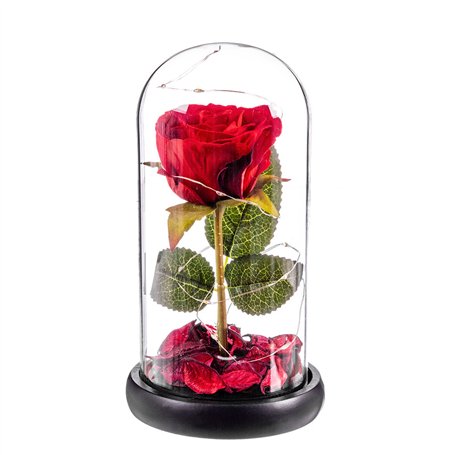 Figurine Décorative Caison Rosa roja eterna leds cupula cristal 20 cm