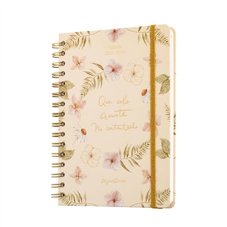 Grupo Erik - Agenda Scolaire Semainier 2025 2026 Raquel Beck