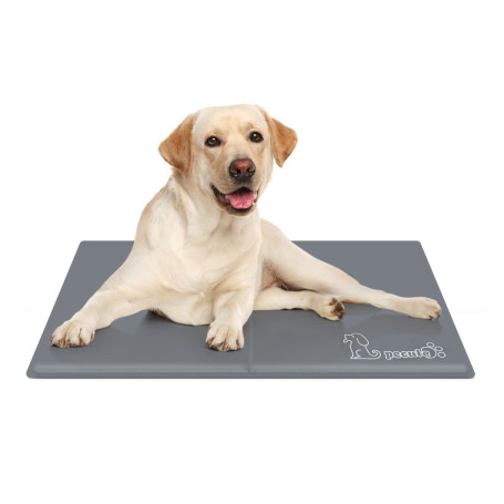 Pecute Tapis Rafraichissant Chien | M 65 * 50cm, Tapis Refroidissement Chien |Reste Froid Plus Longtemps, Tapis Fraicheur Chien 