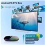 TUREWELL Q Plus Android 10.0 TV Box 4Go RAM 64Go ROM H616 Quad-Core cortex-A53 Support 3D 6K Ultra HD H.265 2.4GHz WiFi 10/100M 