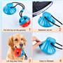 Jouets de Balle de Jouet de Chien avec Ventouse, Jeu Multifonctionnel avec Corde Elastique, Boule/Balles à Mâcher de Dents pour
