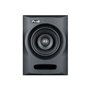 Haut-parleur FLUID AUDIO FX50 V2