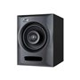 Haut-parleur FLUID AUDIO FX50 V2