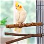 Perchoir Perroquet en Bois Naturel, 8 Pièces Perchoir Oiseaux Jouet Perroquet pour Accessoires de Cage à Oiseaux Perruche Canari