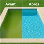 Algicide Anti-Algues Piscine 5L | Rattrapage Eau Verte & Stop Algues | Traitement Choc Efficace pour Éliminer Algues et Eaux Tro