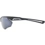 Lunettes de soleil Homme Alpina A8635332