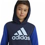 Sweat à capuche enfant Adidas Essentials Big Logo Colorblock Bleu