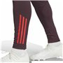 Pantalon de sport long Adidas Fc Bayern 24/25 Tiro24 Marron Bordeaux Homme