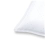 Dustwave® Lot de 20 sacs d'aspirateur Premium pour Tornado - TO 170 / TO170 - Aspirateur traîneau Microvlieser - Sacs filtrants