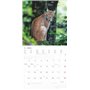 Alpha Edition - Calendrier mural 2025 Forêt et couloir - 30 x 30 cm - Avec espace pour notes et rendez-vous, motifs animaux et n