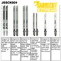 10 x SabreCut JSSCK001 Scie sauteuse professionnelle Coupe bois et métal T144D T101B T101BR T101AO T118A T118B Coffret compatibl