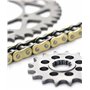 Afam 01270203 Kit chaîne de moto - kit acier pour YAMAHA FZS 600 Fazer 1998 - 2003, argenté
