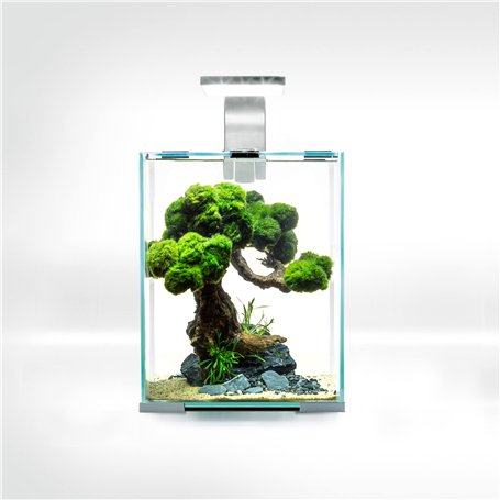 Aquael Set de crevettes Smart D&N 10 Blanc ECOM