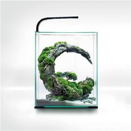 AquaEl Set Smart D&N 30 ECOM Noir: Aquarium Vivarium en Verre pour Crevettes