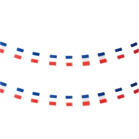 Drapeau France 40 pièces Drapeau France Guirlande France 11.4M Fanions France Drapeau National Drapeau Drapeau Européen 14x21cm