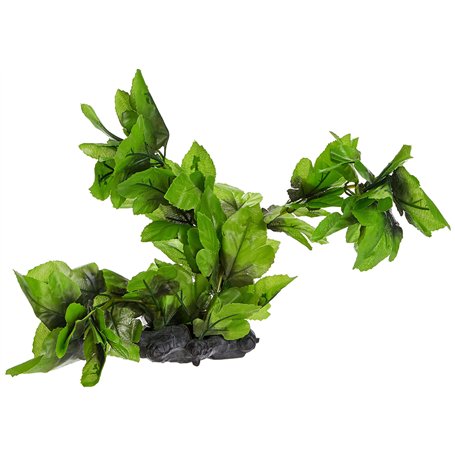 Amtra Wave Hygrophila Plante Réplique pour Aquariophilie 30 cm