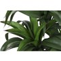 Plante décorative Home ESPRIT Résine Polyéthylène 50 x 50 x 102 cm