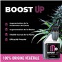 UP NUTRIENTS BOOST UP Engrais stimulateur de floraison Bio Stimulateur pour plantes et cultures 250 ml Accélérateur de productio