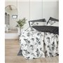 Parure de lit - 1 housse de couette 220 x 240 cm + 2 taies d'oreiller 60 x 60 cm - 100% coton ranforcé - Anthracite