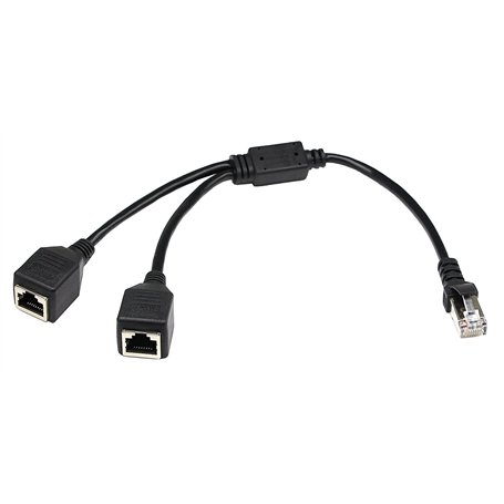 ZdyCGTime Câble Réseau RJ45 30 cm