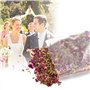 skytowards Confettis de Mariage Naturels 100 g de Confettis de Fleurs de Mariage