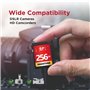 GIGASTONE Carte Mémoire SDXC 256 Go, Vitesse 80 Mo/s. Compatible avec Caméra Canon Nikon Sony Panasonic, V30 U3 UHS-I Classe 10 