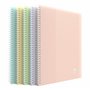 OXFORD Porte fiches bristol A5 School Life 80 vues / 40 pochettes Couverture Polypro Pastel Couleurs Assorties