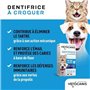 Dentifrice croquer - VETOCANIS - x30 Comprimés pour Chat et Petit Chien