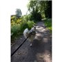 Longe de traction pour chien - CLASSICA - XL - 2.4 m - Chiens jusqu'a 25 kg
