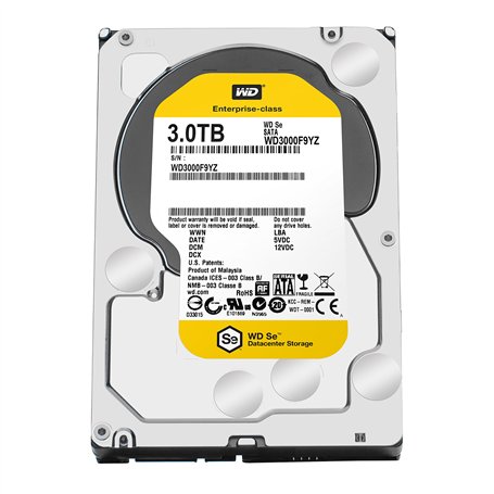 Western Digital WD3000F9YZ 3.5 " 3000 Go serial_ata600 7200 trs/min