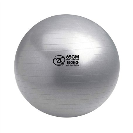 Fitness-Mad Anti-Burs Balle suisse t Argenté65 cm 125 kg
