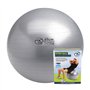 Fitness-Mad Anti-Burs Balle suisse t Argenté65 cm 125 kg