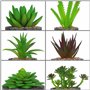 BELLE VOUS Mini Plante Artificielle Interieur Succulente en Pot Gris (6 Pièces) - Fausse Plante Cactus & Succulentes - pour Mais