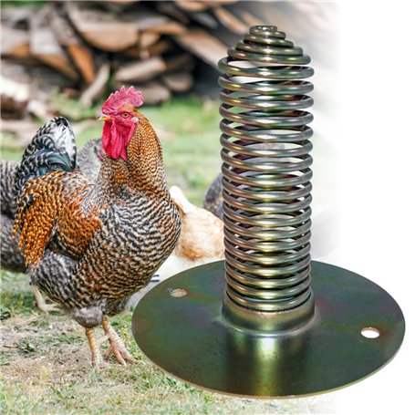 Doblit Lot de 2 mangeoires en spirale robustes avec ressort à fixer sur une mangeoire pour poulets