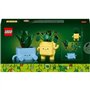LEGO Botanicals 10349 Petites Plantes Souriantes - Jeu de construction pour fille, 9 ans