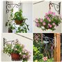 XNJIHWA 2 PCS Support Plante Porte Plante Mural Suspendu Crochet Mural Plant Métal Support Mural pour Plante,avec 4 Vis et 4 Vis