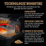 Ninja Woodfire Barbecue électrique et fumoir Pro XL avec thermomètre, barbecue et Air fryer d'extérieur 4-en-1 avec système Smar
