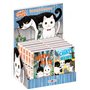 Hachi & Maruru - Chats des rues - Display comptoir 20 ex