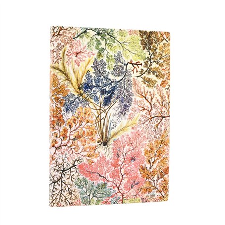 Carnets Flexis William Kilburn Anemone Midi LIG. 176pg.