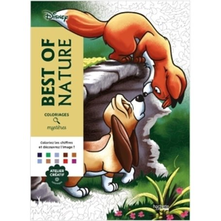 Coloriages mystères Disney - Best of Nature