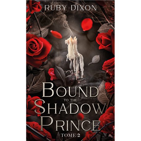 Bound to the shadow Prince - tome 2