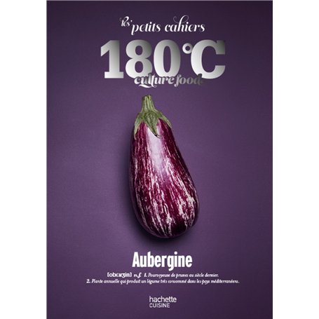 Les petits cahiers 180°C - Aubergine