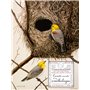 Carnets secrets d'un ornithologue