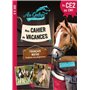 Cahier de vacances AU GALOP du CE2 au CM1