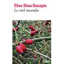 Le vieil incendie